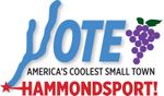 VOTE-Hammondsport